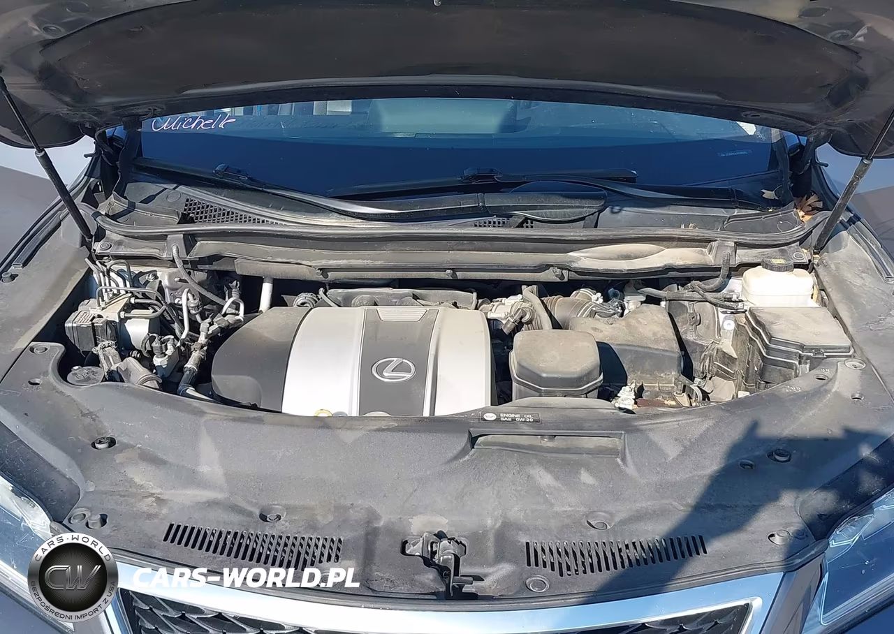 2017 Lexus Rx 350 F Sport VIN:2T2BZMCA1HC089360 - 10