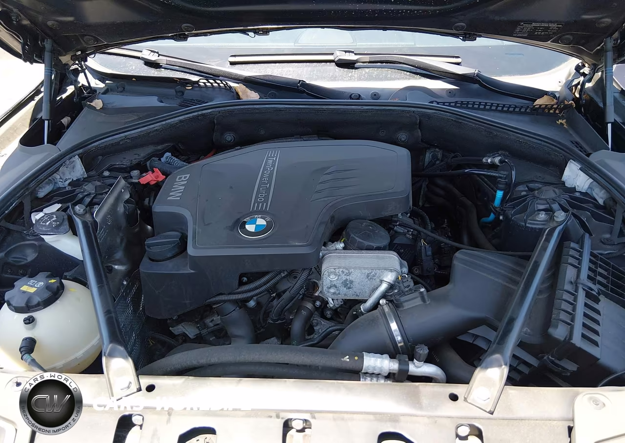2016 BMW 528I xDrive VIN:WBA5A7C52GG146630 - 10