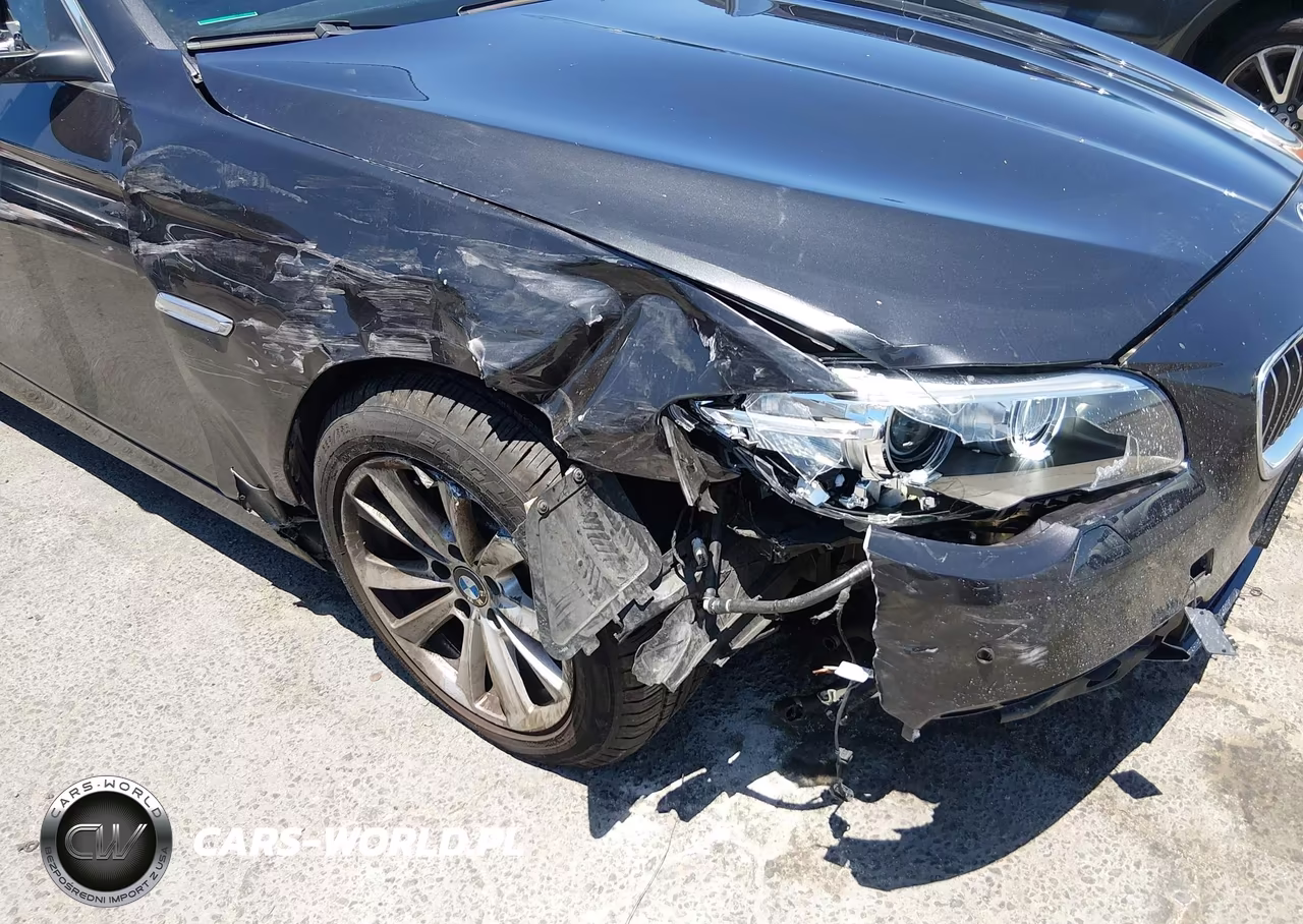 2016 BMW 528I xDrive VIN:WBA5A7C52GG146630 - 6