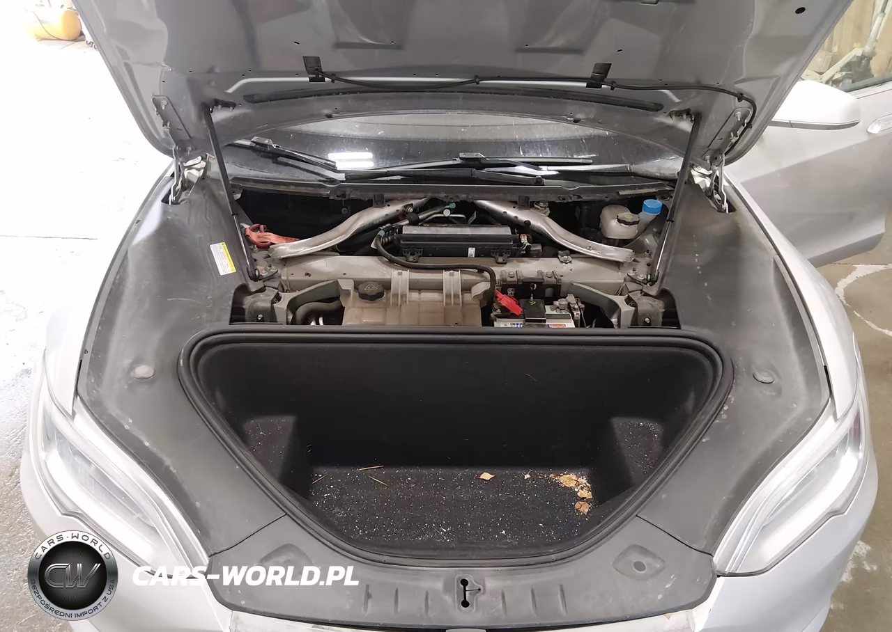 2016 Tesla Model S 60D-70D-75D-85D-90D VIN:5YJSA1E23GF149794 - 10