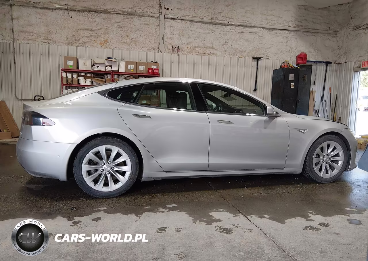 2016 Tesla Model S 60D-70D-75D-85D-90D VIN:5YJSA1E23GF149794 - 13