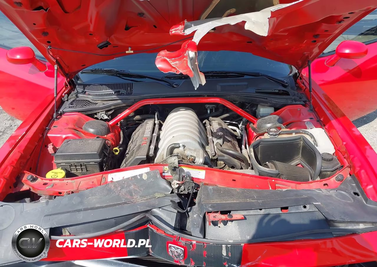 2009 Dodge Challenger Srt8 VIN:2B3LJ74W49H563466 - 10