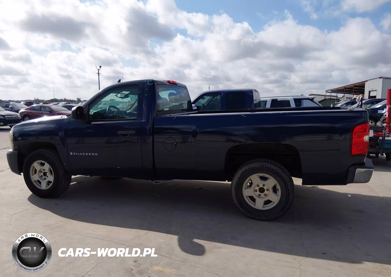2009 Chevrolet Silverado 1500 Work Truck VIN:1GCEC14X99Z217727 - 15