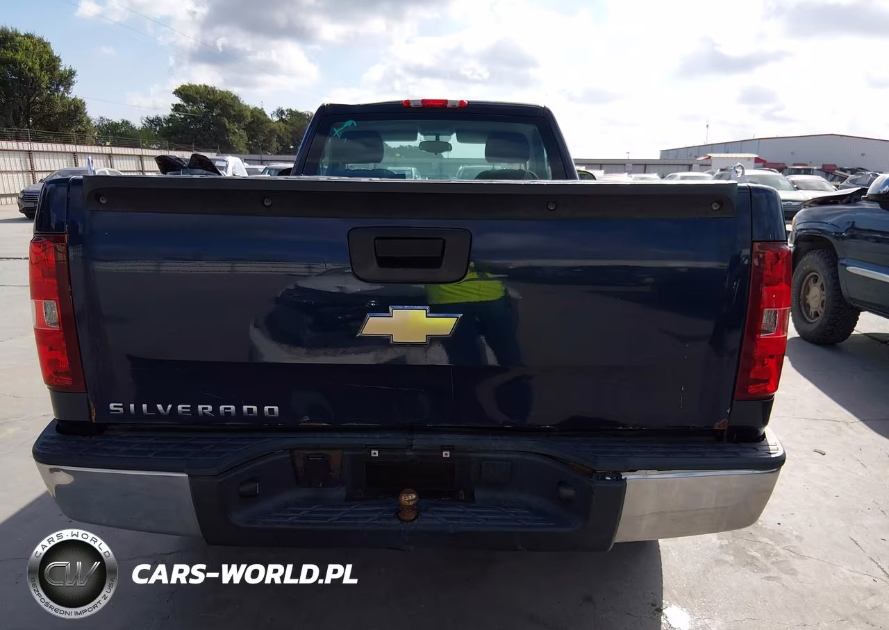 2009 Chevrolet Silverado 1500 Work Truck VIN:1GCEC14X99Z217727 - 17