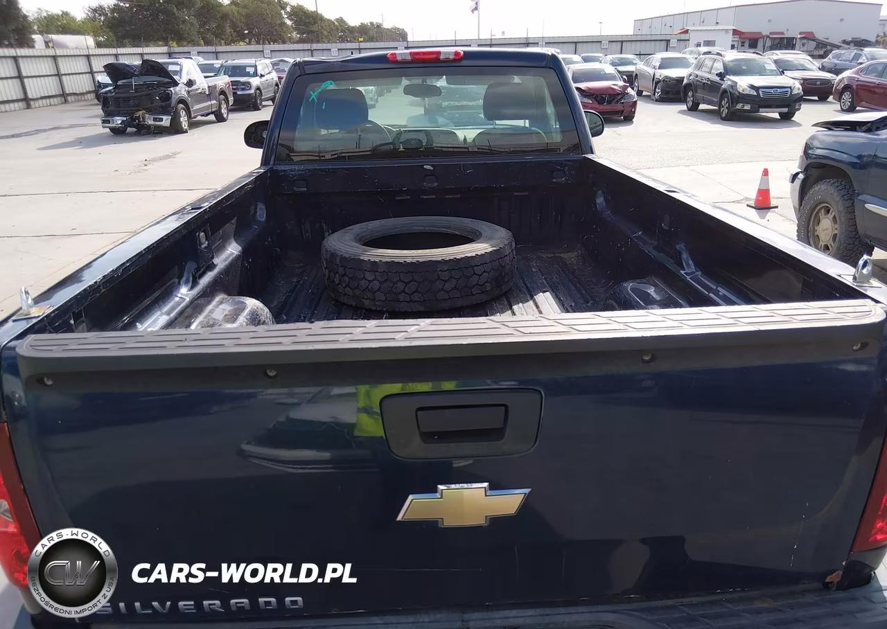 2009 Chevrolet Silverado 1500 Work Truck VIN:1GCEC14X99Z217727 - 18