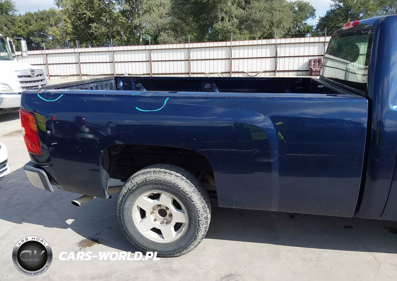 2009 Chevrolet Silverado 1500 Work Truck VIN:1GCEC14X99Z217727 - 19