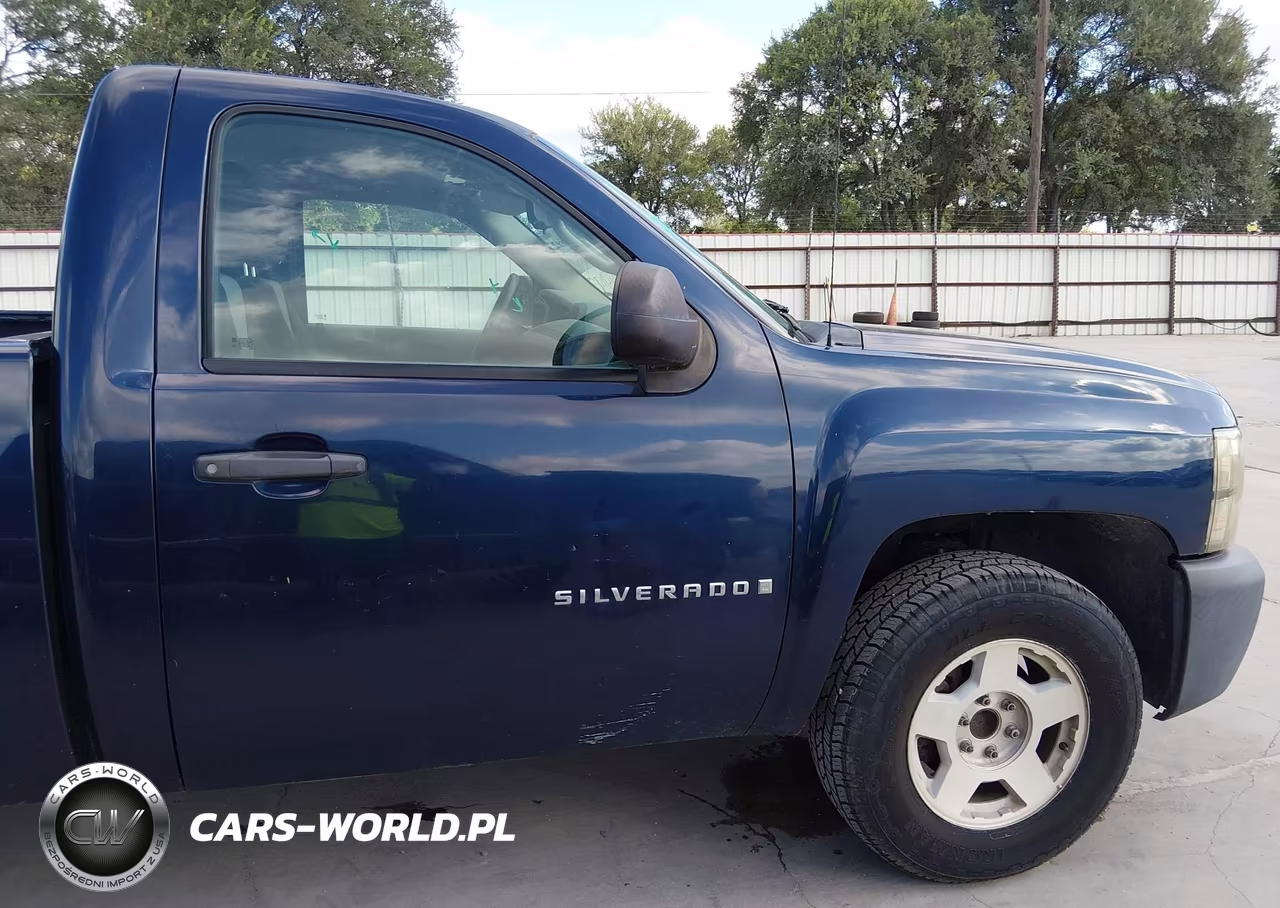 2009 Chevrolet Silverado 1500 Work Truck VIN:1GCEC14X99Z217727 - 20