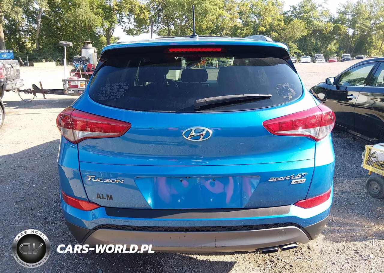 2016 Hyundai Tucson Sport VIN:KM8J3CA21GU196817 - 16