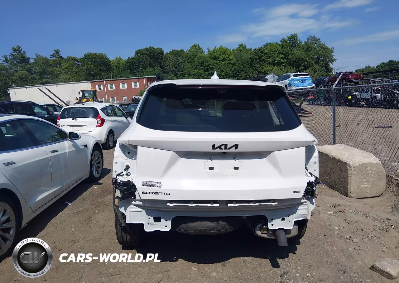 2025 Kia Sorento X-Line Sx Prestige VIN:5XYRKDJF9SG402883 - 17
