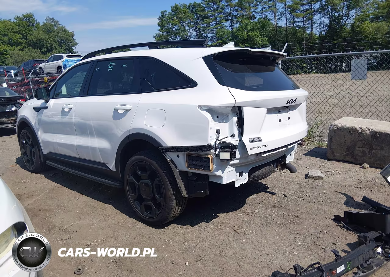 2025 Kia Sorento X-Line Sx Prestige VIN:5XYRKDJF9SG402883 - 3