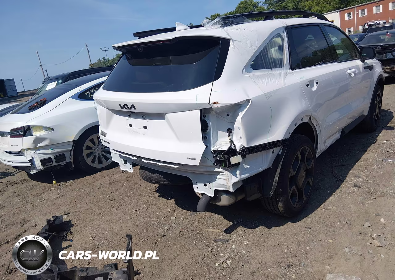 2025 Kia Sorento X-Line Sx Prestige VIN:5XYRKDJF9SG402883 - 4