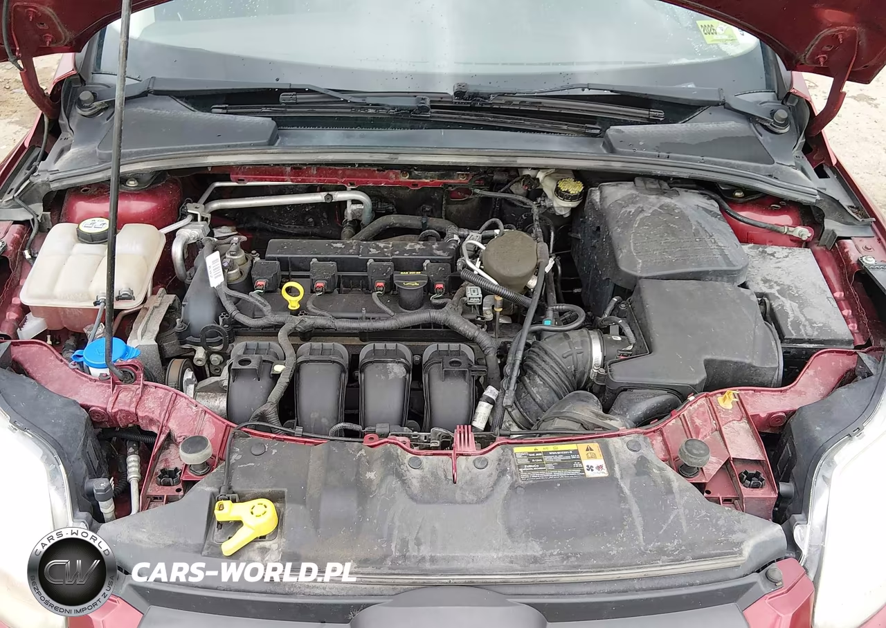 2013 Ford Focus Se VIN:1FADP3F29DL218956 - 10