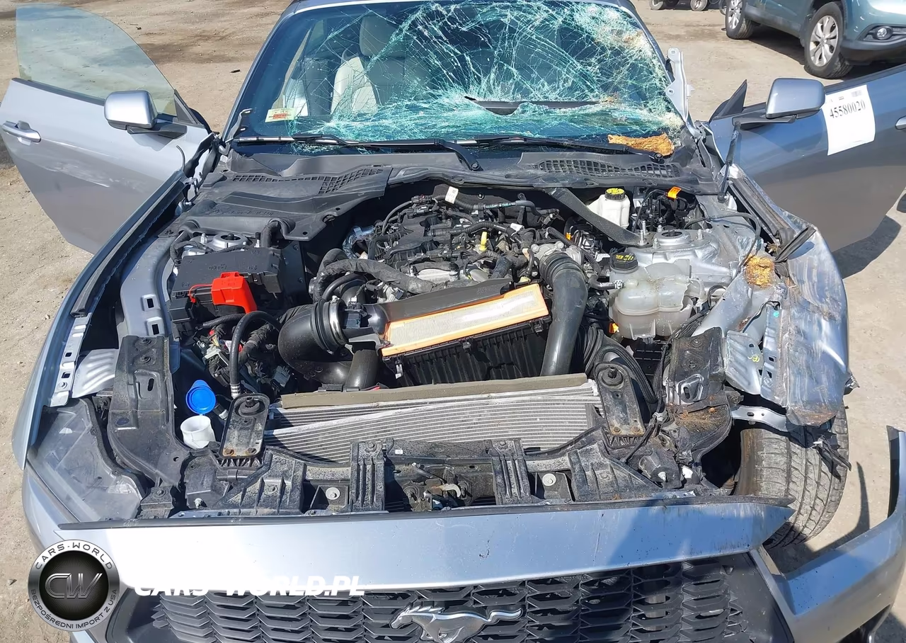 2024 Ford Mustang Ecoboost Premium VIN:1FAGP8UH1R5131517 - 10