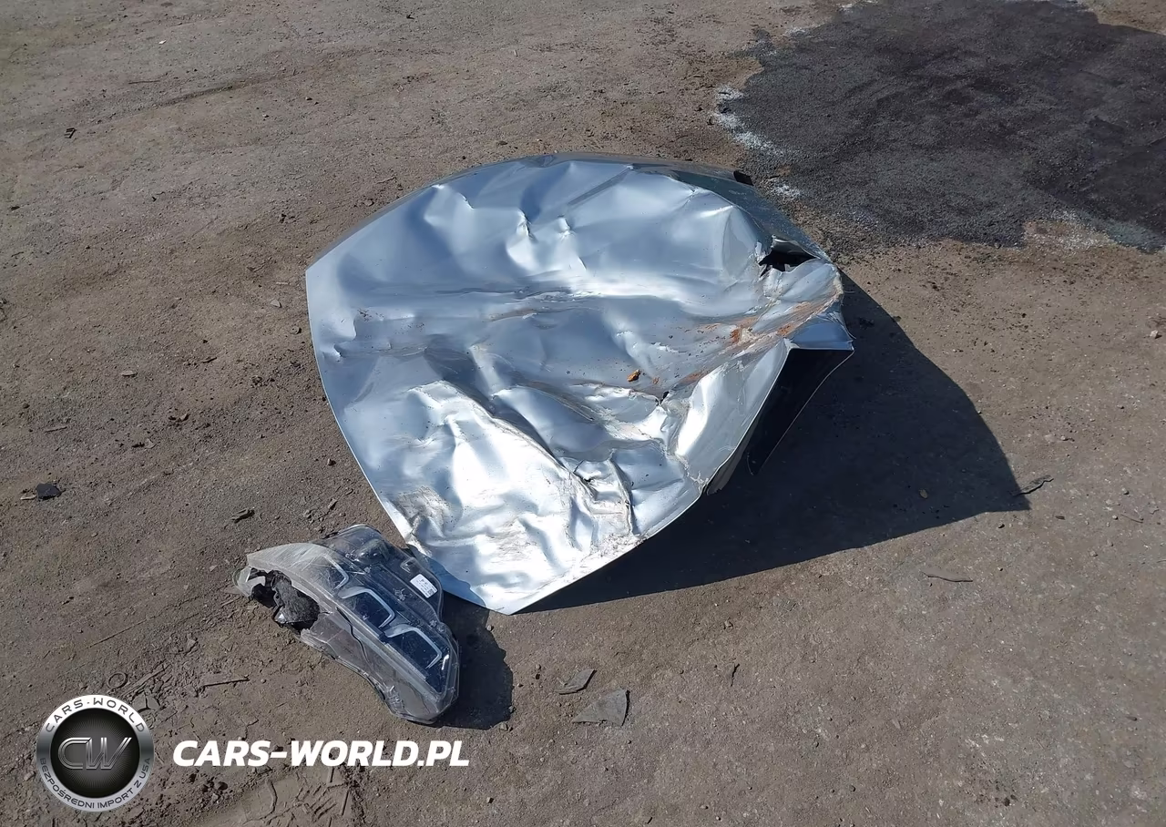 2024 Ford Mustang Ecoboost Premium VIN:1FAGP8UH1R5131517 - 12
