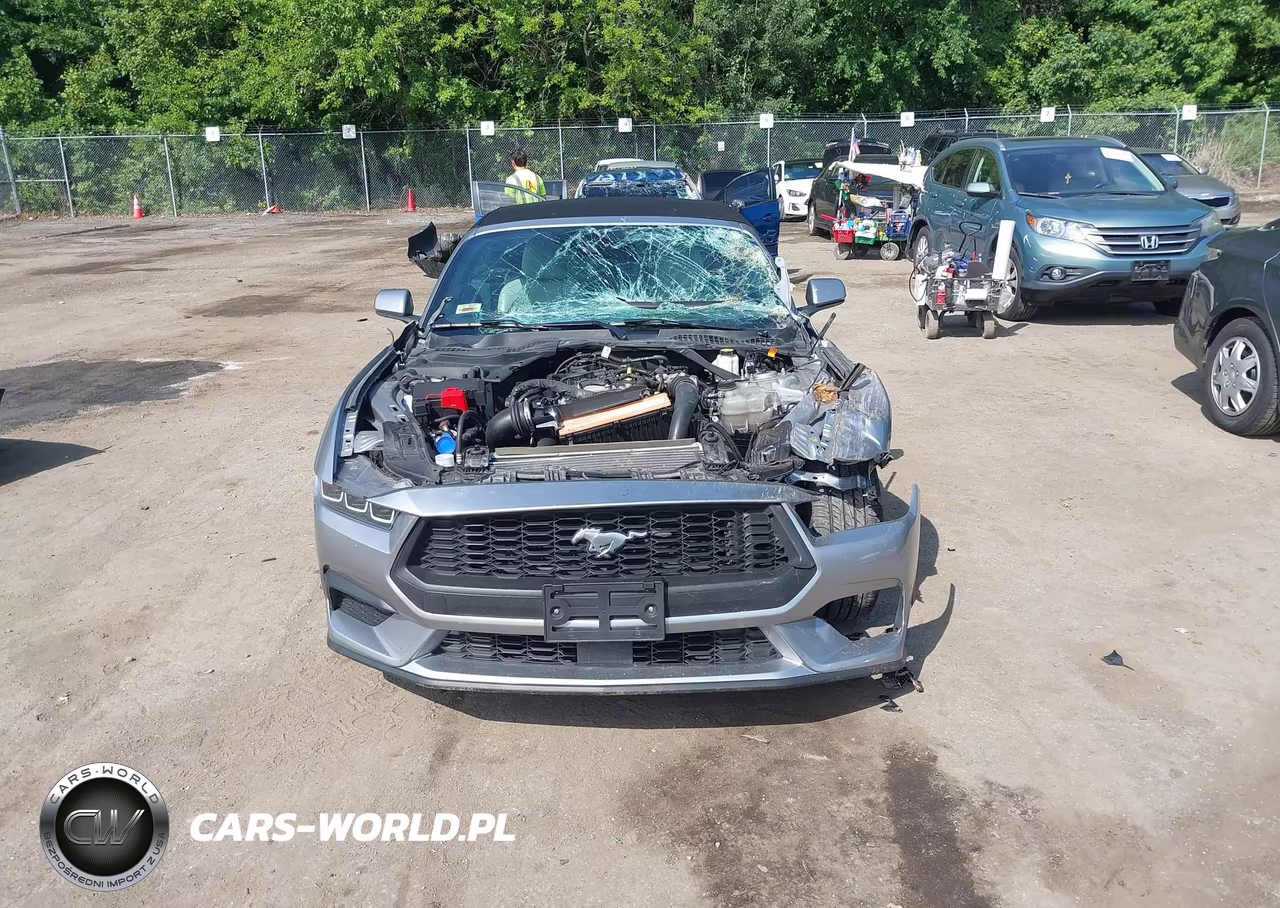2024 Ford Mustang Ecoboost Premium VIN:1FAGP8UH1R5131517 - 13
