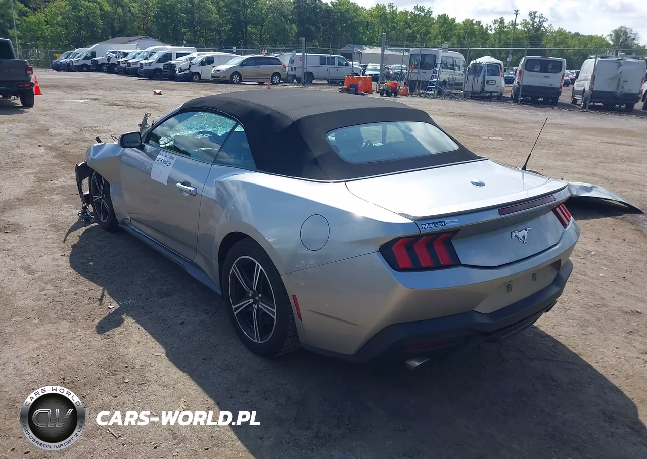 2024 Ford Mustang Ecoboost Premium VIN:1FAGP8UH1R5131517 - 3
