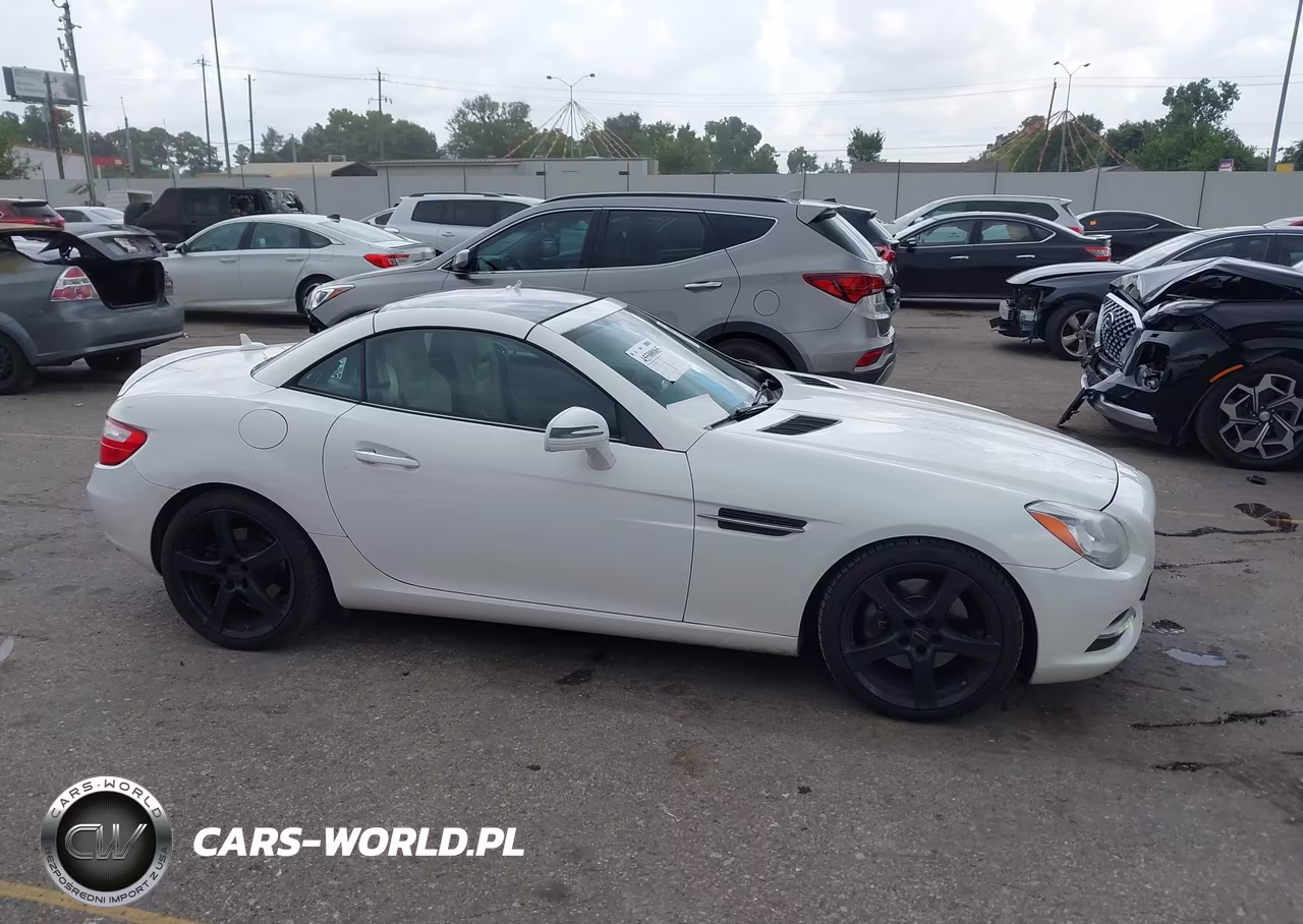 2016 Mercedes-Benz Slk 300 VIN:WDDPK3JAXGF120273 - 13
