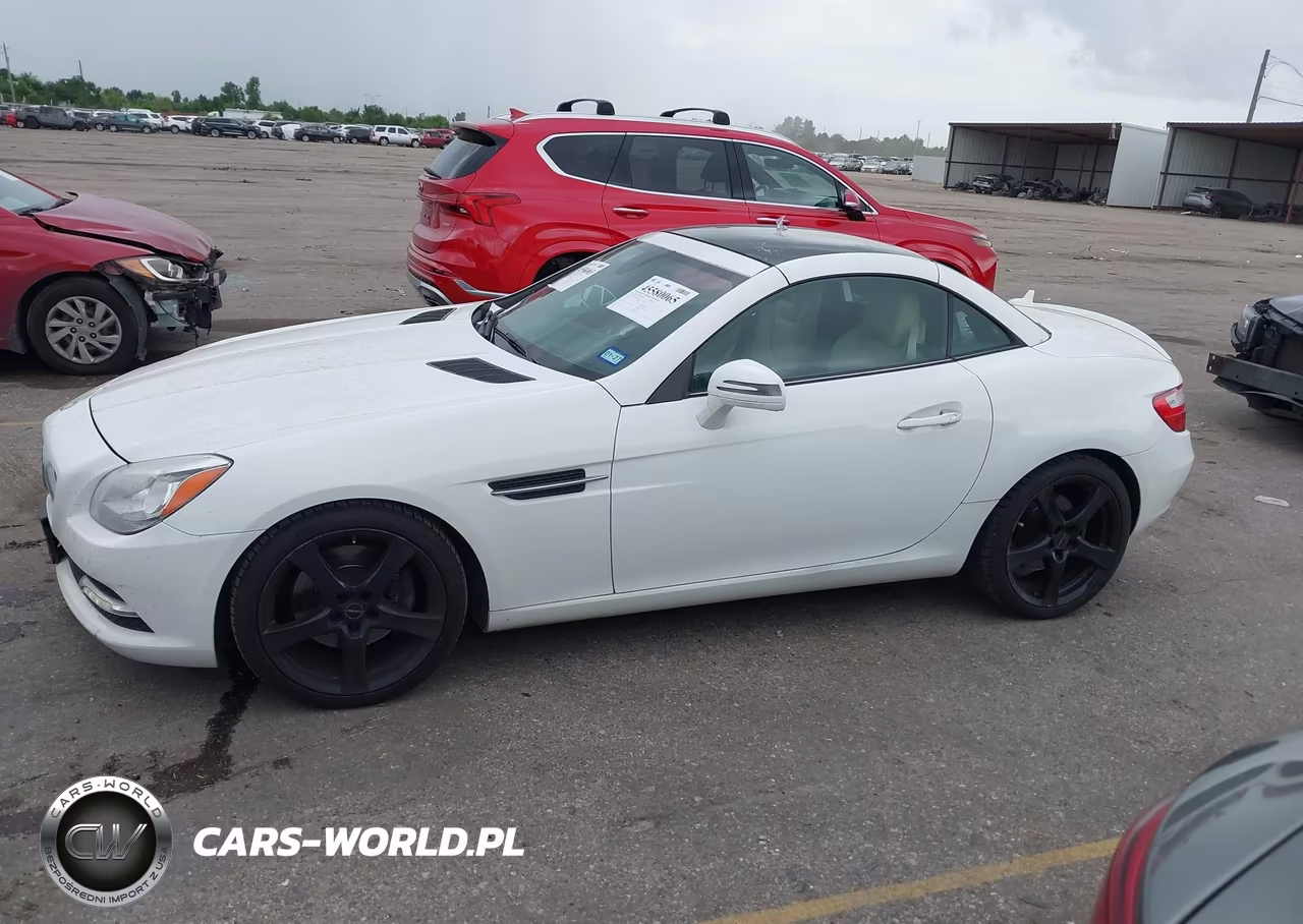 2016 Mercedes-Benz Slk 300 VIN:WDDPK3JAXGF120273 - 14
