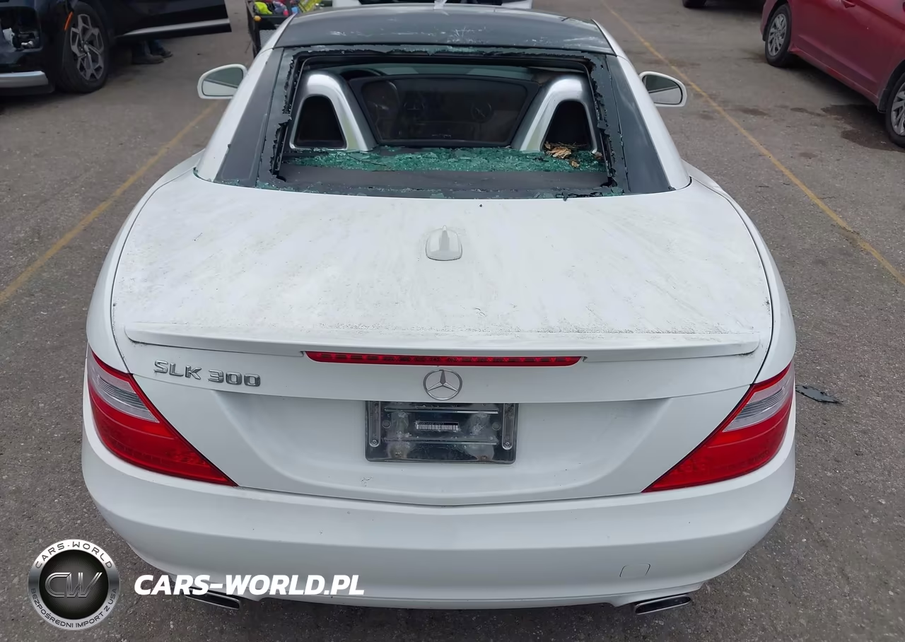 2016 Mercedes-Benz Slk 300 VIN:WDDPK3JAXGF120273 - 6