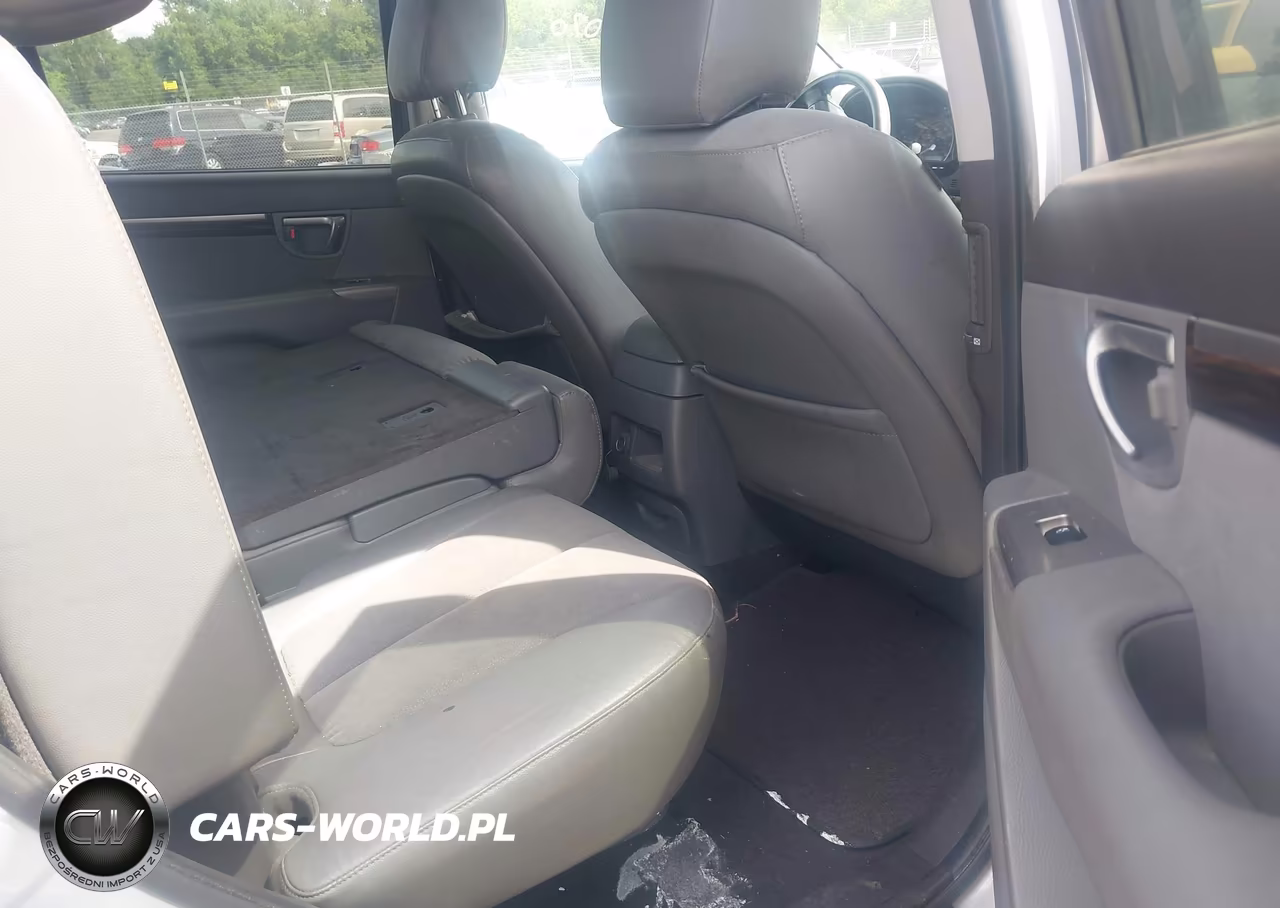 2010 Hyundai Santa Fe Se VIN:5NMSHDAG5AH333851 - 8