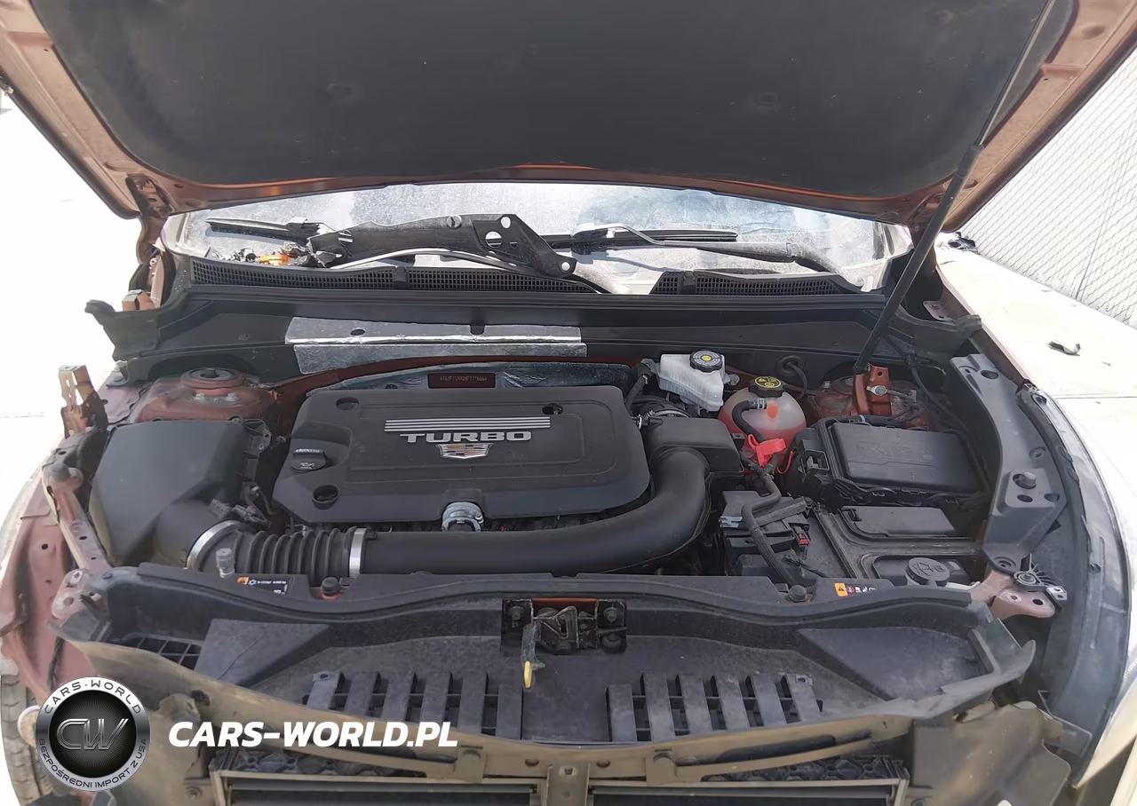 2019 Cadillac Xt4 Premium Luxury VIN:1GYFZCR42KF111666 - 10