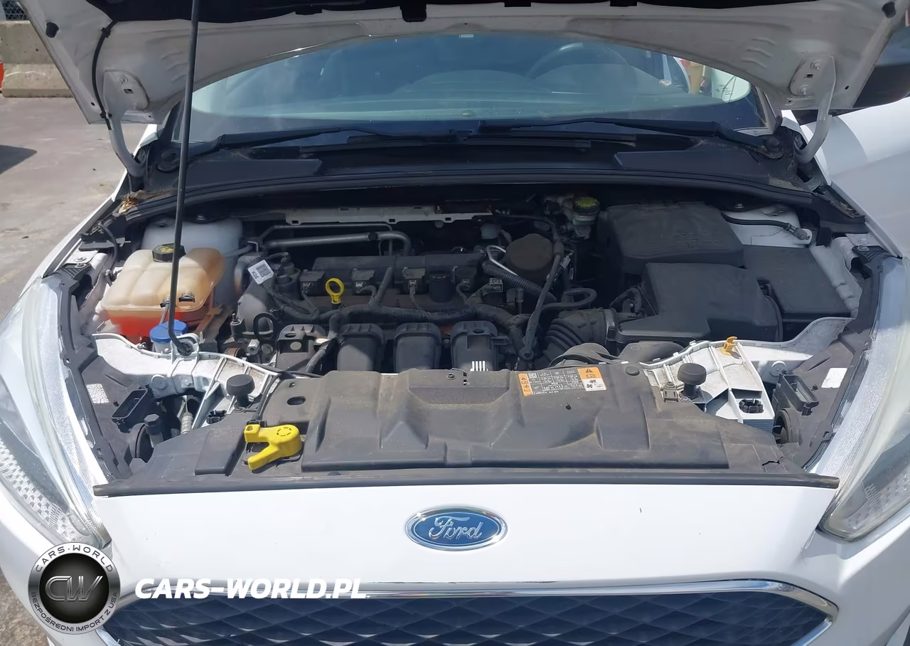 2016 Ford Focus S VIN:1FADP3E2XGL232032 - 10