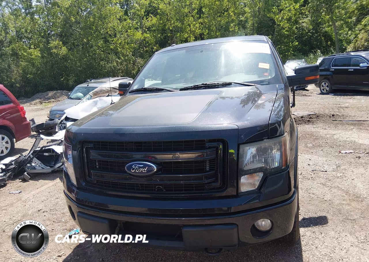2013 Ford F-150 Fx4 VIN:1FTFW1EF1DFD35038 - 12