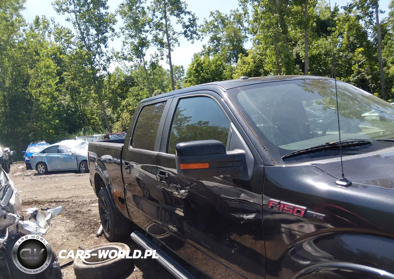 2013 Ford F-150 Fx4 VIN:1FTFW1EF1DFD35038 - 13