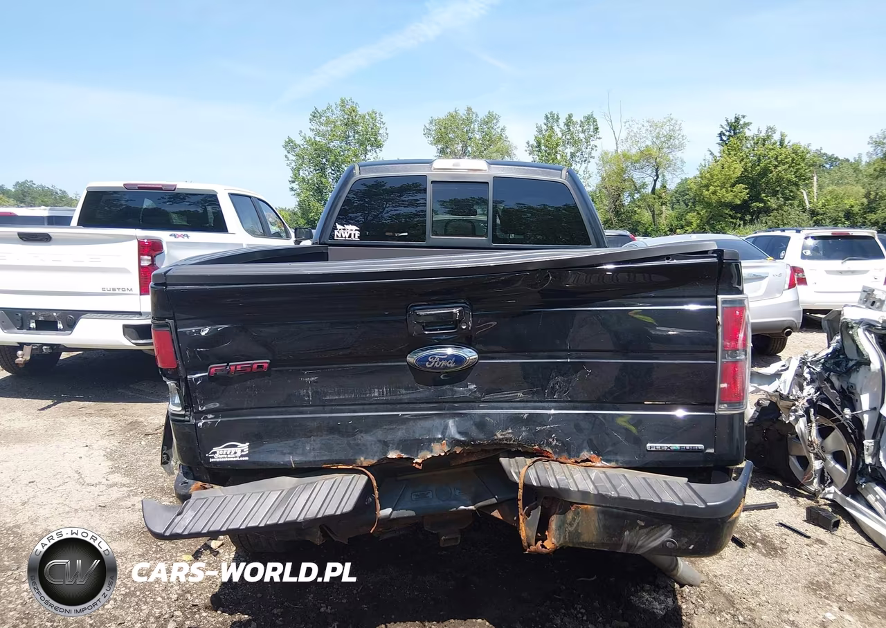 2013 Ford F-150 Fx4 VIN:1FTFW1EF1DFD35038 - 16