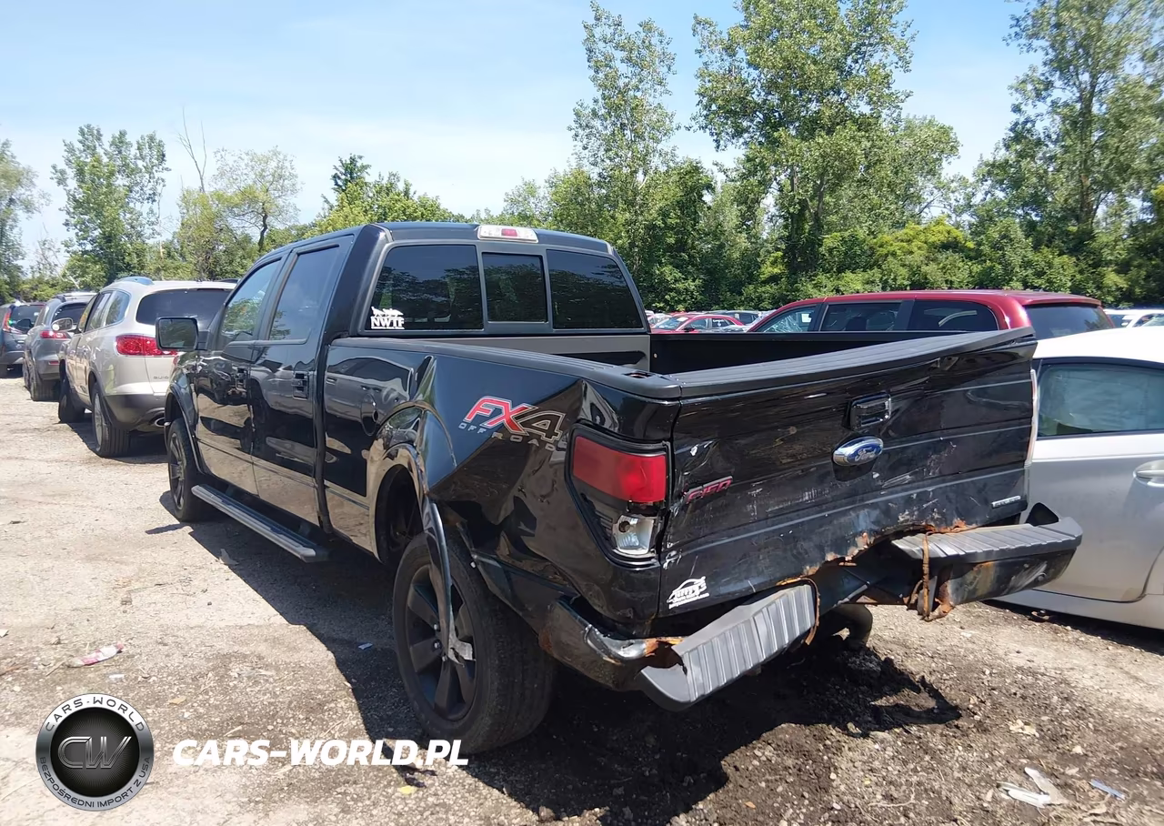 2013 Ford F-150 Fx4 VIN:1FTFW1EF1DFD35038 - 3