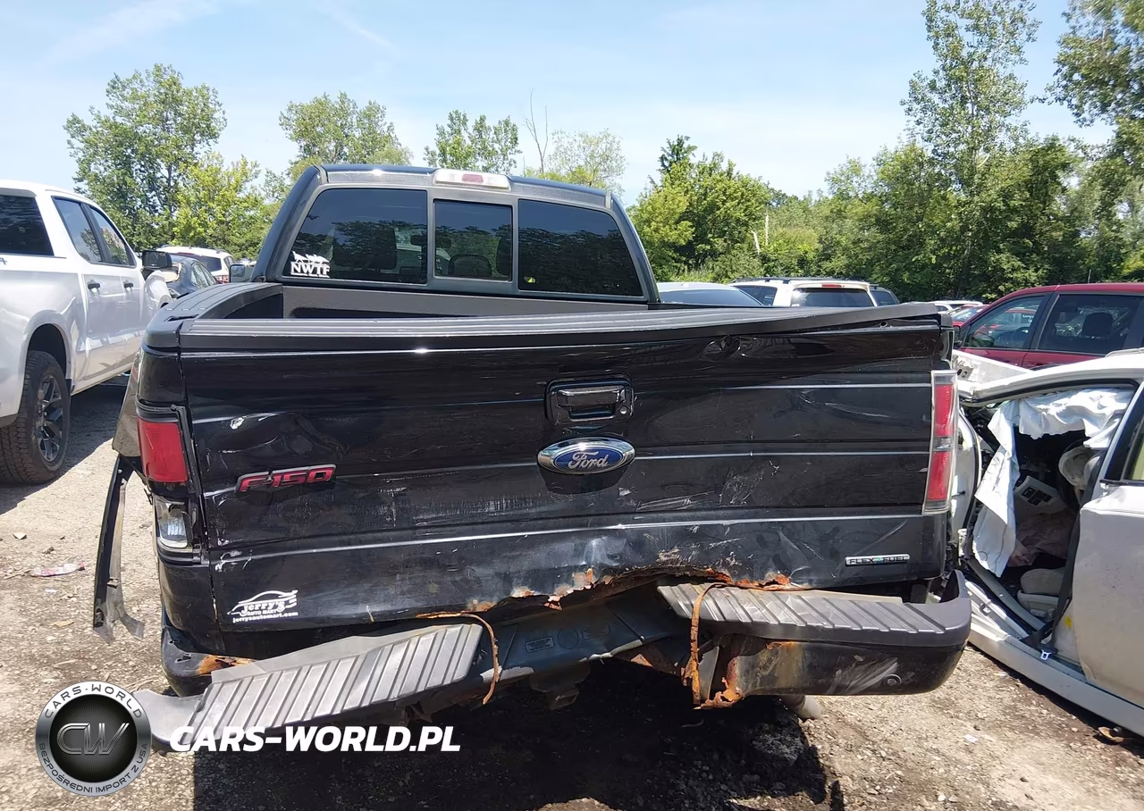 2013 Ford F-150 Fx4 VIN:1FTFW1EF1DFD35038 - 6