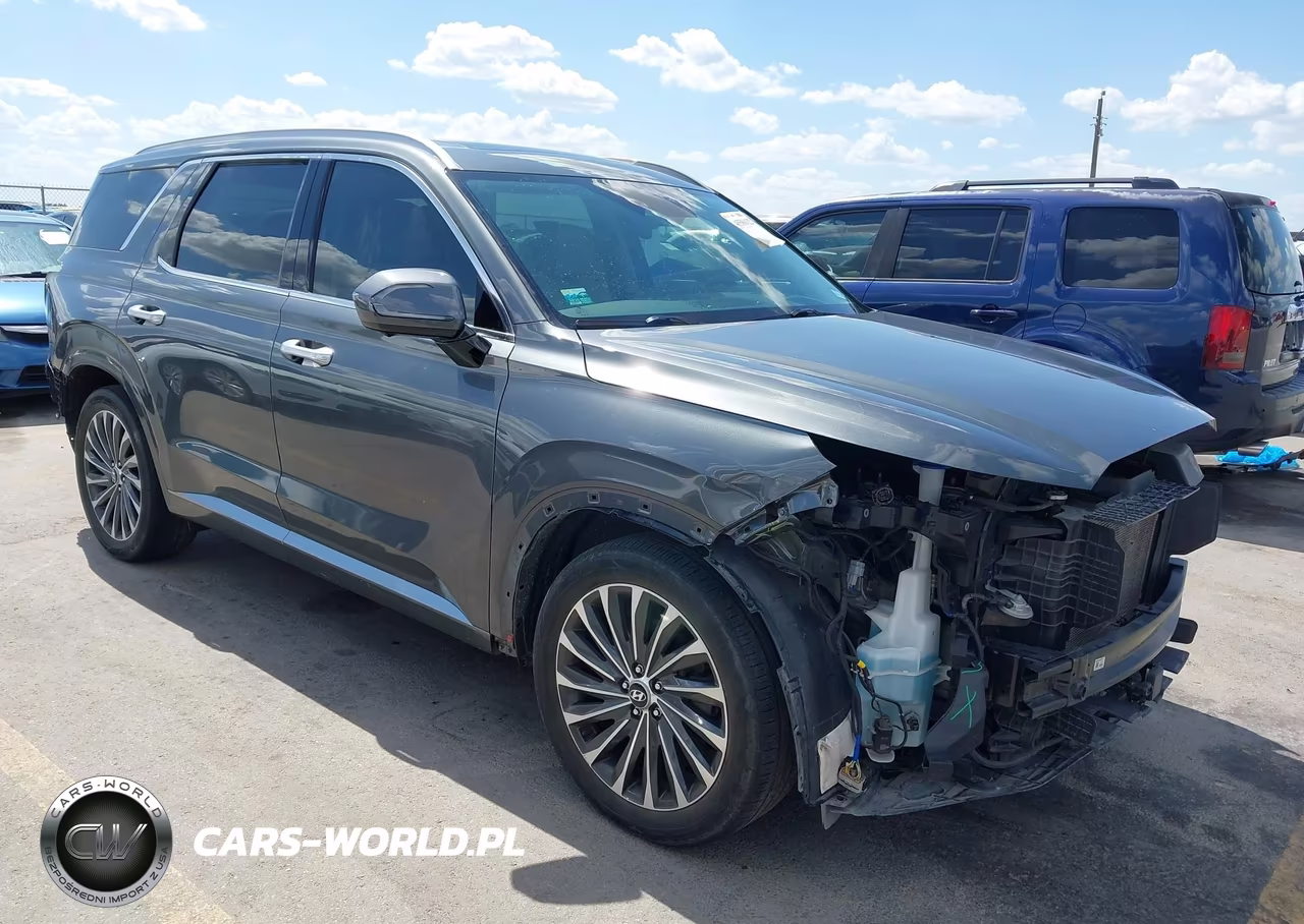 2024 Hyundai Palisade Calligraphy VIN:KM8R7DGE5RU681463 - 1