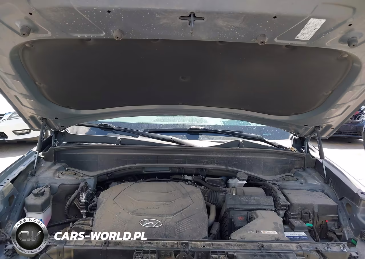 2024 Hyundai Palisade Calligraphy VIN:KM8R7DGE5RU681463 - 10