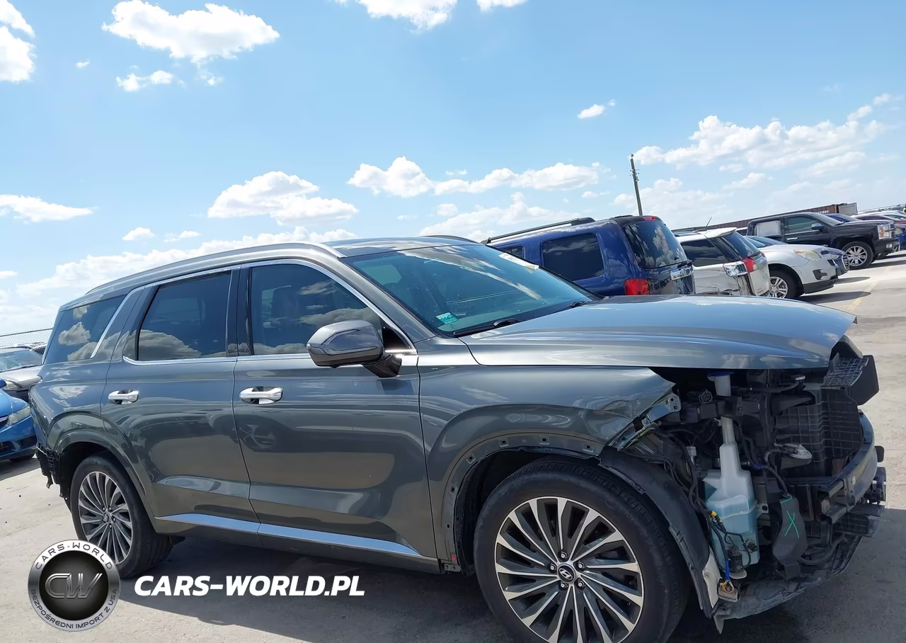 2024 Hyundai Palisade Calligraphy VIN:KM8R7DGE5RU681463 - 14