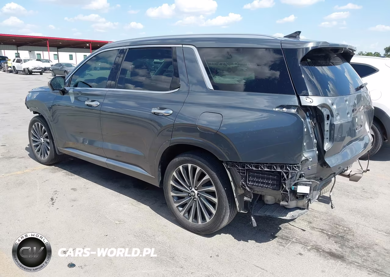 2024 Hyundai Palisade Calligraphy VIN:KM8R7DGE5RU681463 - 3