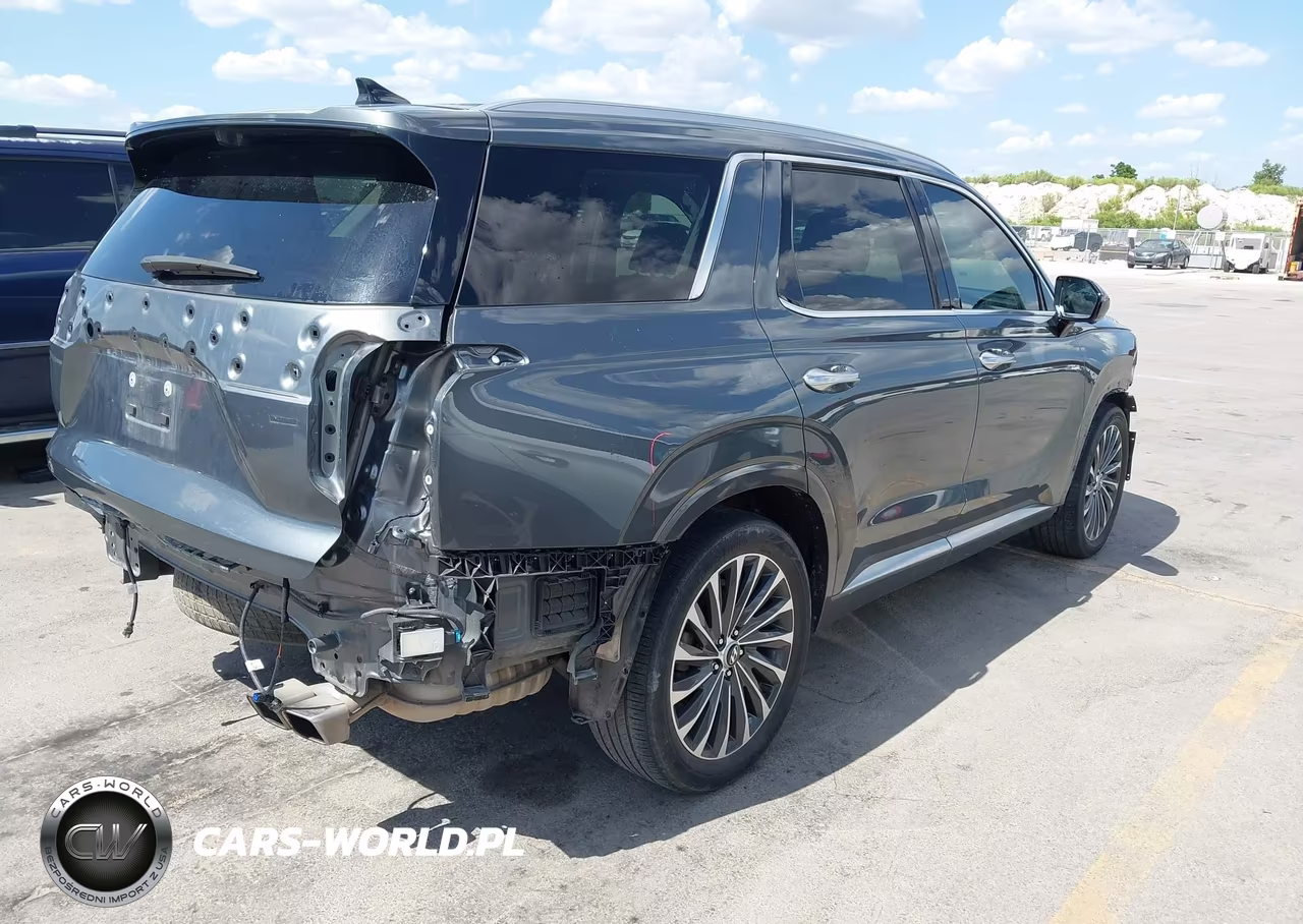 2024 Hyundai Palisade Calligraphy VIN:KM8R7DGE5RU681463 - 4