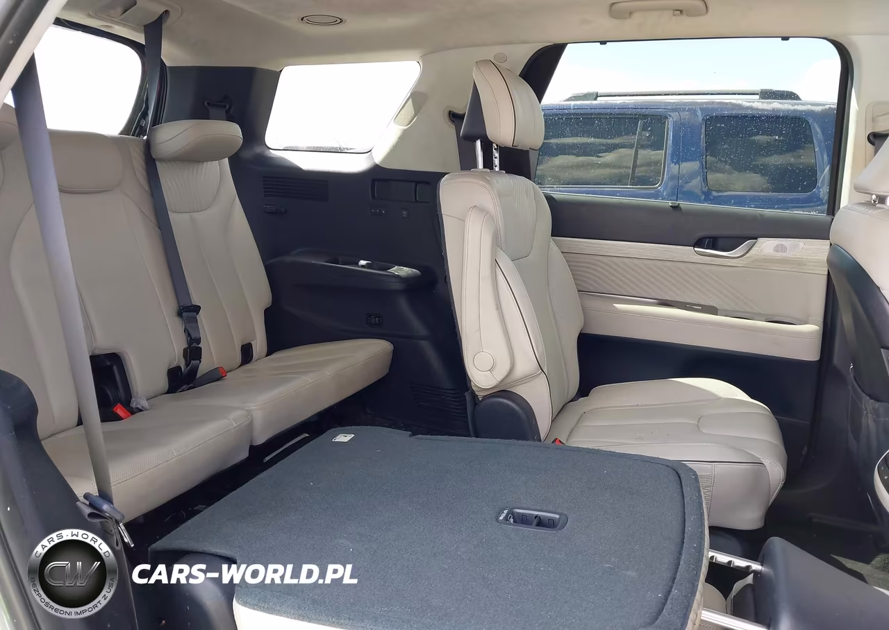 2024 Hyundai Palisade Calligraphy VIN:KM8R7DGE5RU681463 - 8