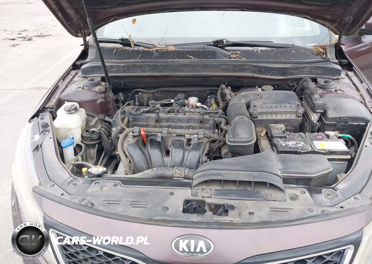 2014 Kia Optima Lx VIN:5XXGM4A79EG302396 - 10