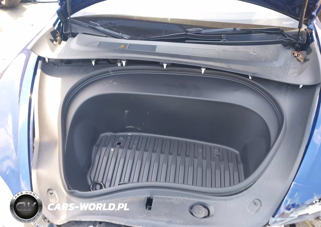 2025 Tesla Model 3 Long Range Rear-Wheel Drive-Standard Rear-Wheel Drive VIN:5YJ3E1EA9SF025280 - 10
