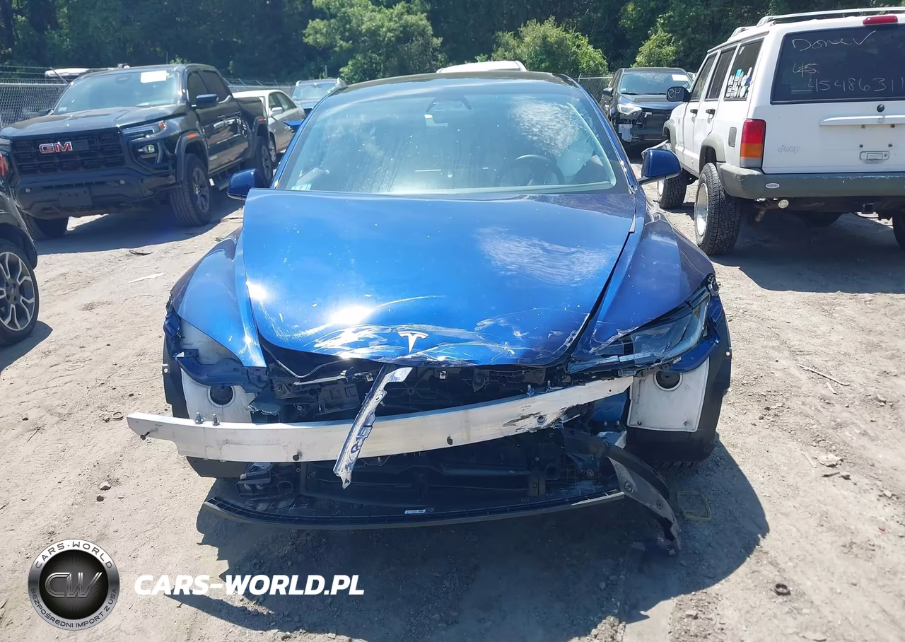 2025 Tesla Model 3 Long Range Rear-Wheel Drive-Standard Rear-Wheel Drive VIN:5YJ3E1EA9SF025280 - 11