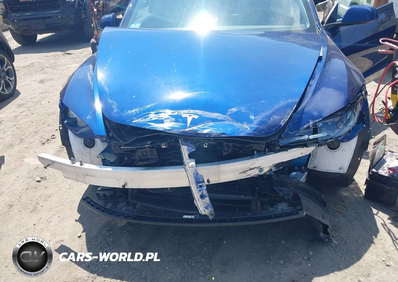 2025 Tesla Model 3 Long Range Rear-Wheel Drive-Standard Rear-Wheel Drive VIN:5YJ3E1EA9SF025280 - 6