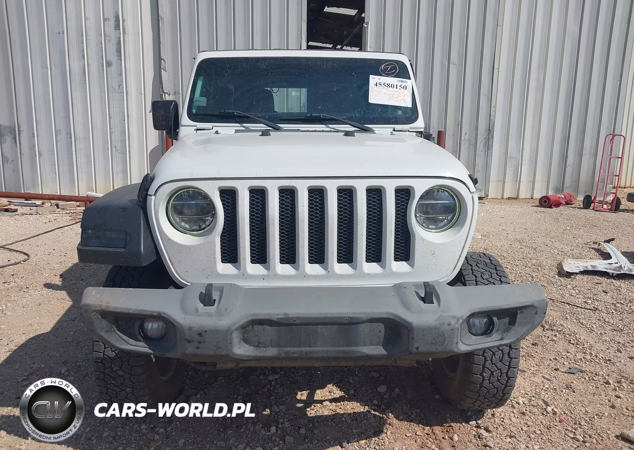 2020 Jeep Wrangler Unlimited Sport S 4X4 VIN:1C4HJXDM1LW257823 - 13
