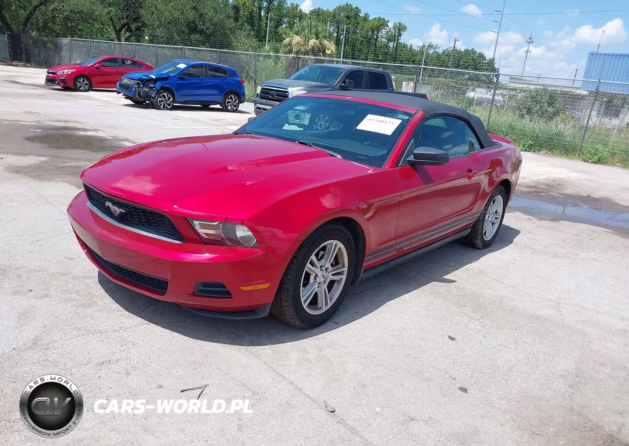 2010 Ford Mustang V6-V6 Premium VIN:1ZVBP8EN7A5165505 - 2