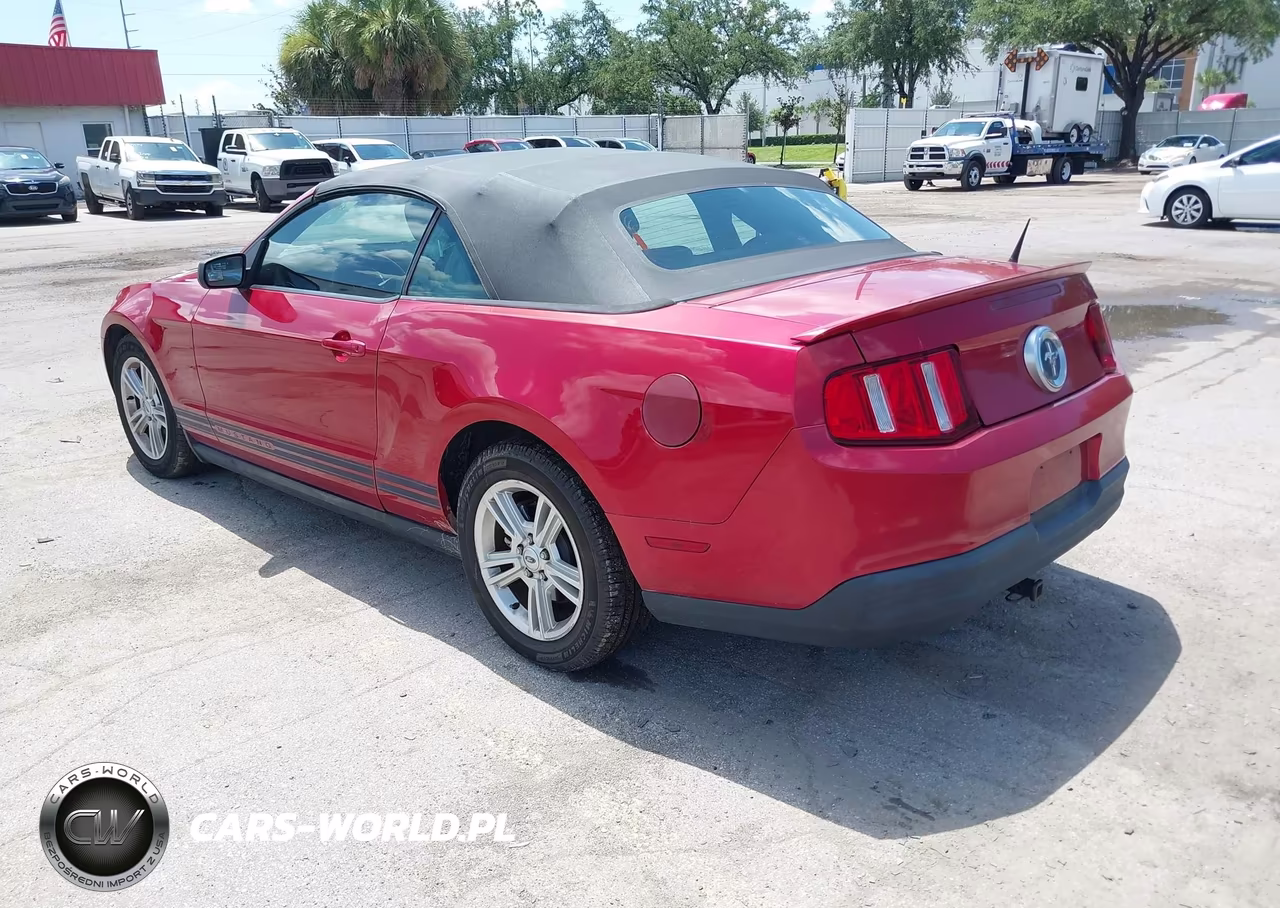 2010 Ford Mustang V6-V6 Premium VIN:1ZVBP8EN7A5165505 - 3