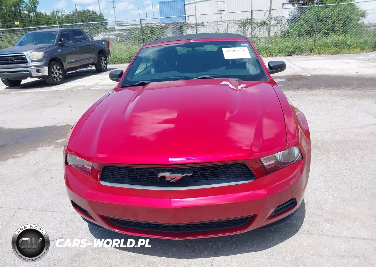 2010 Ford Mustang V6-V6 Premium VIN:1ZVBP8EN7A5165505 - 6