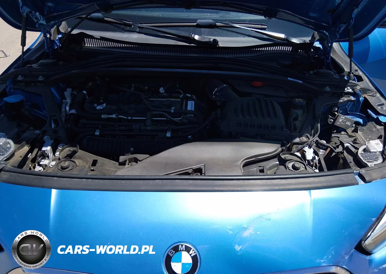 2020 BMW 228I Gran Coupe xDrive VIN:WBA73AK06L7F78141 - 10