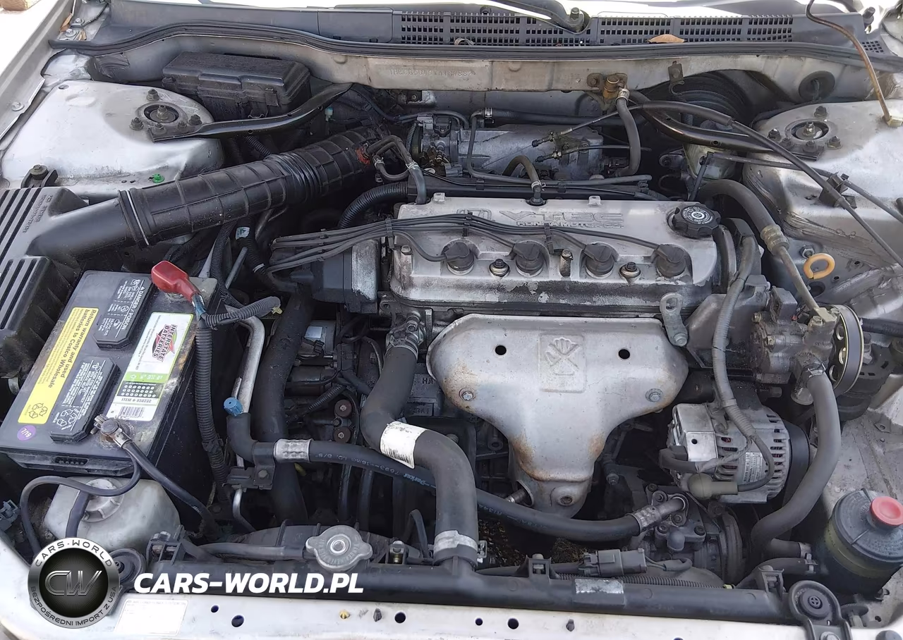 1998 Honda Accord Lx VIN:1HGCG5649WA189882 - 10