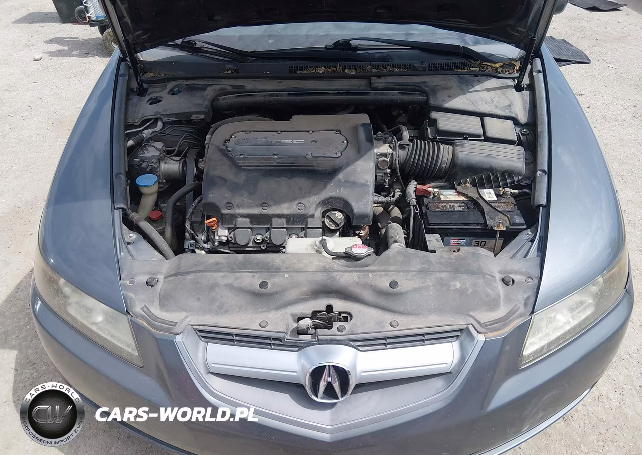2006 Acura Tl VIN:19UUA66276A064180 - 10