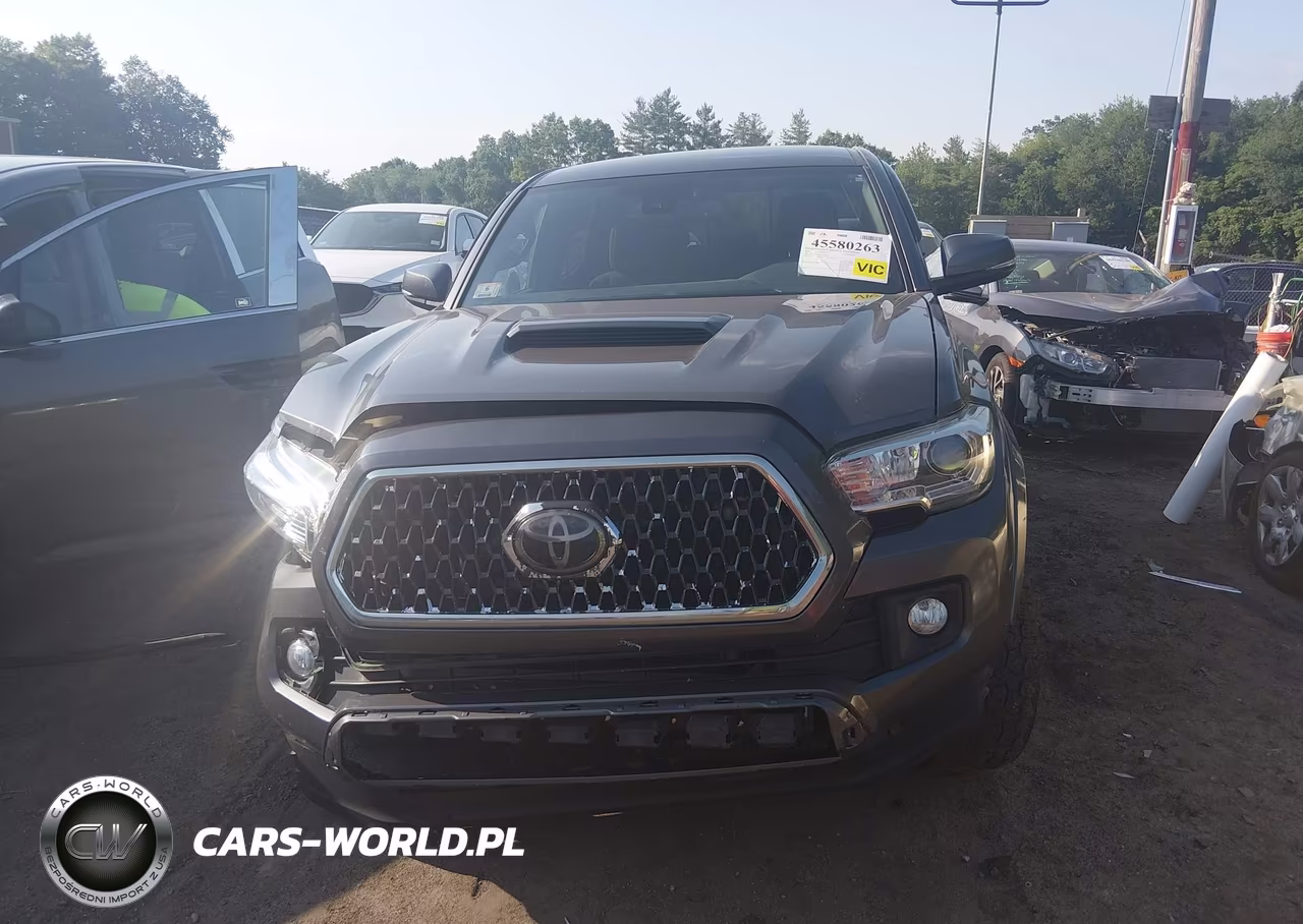 2018 Toyota Tacoma Trd Sport VIN:5TFCZ5AN6JX126334 - 12
