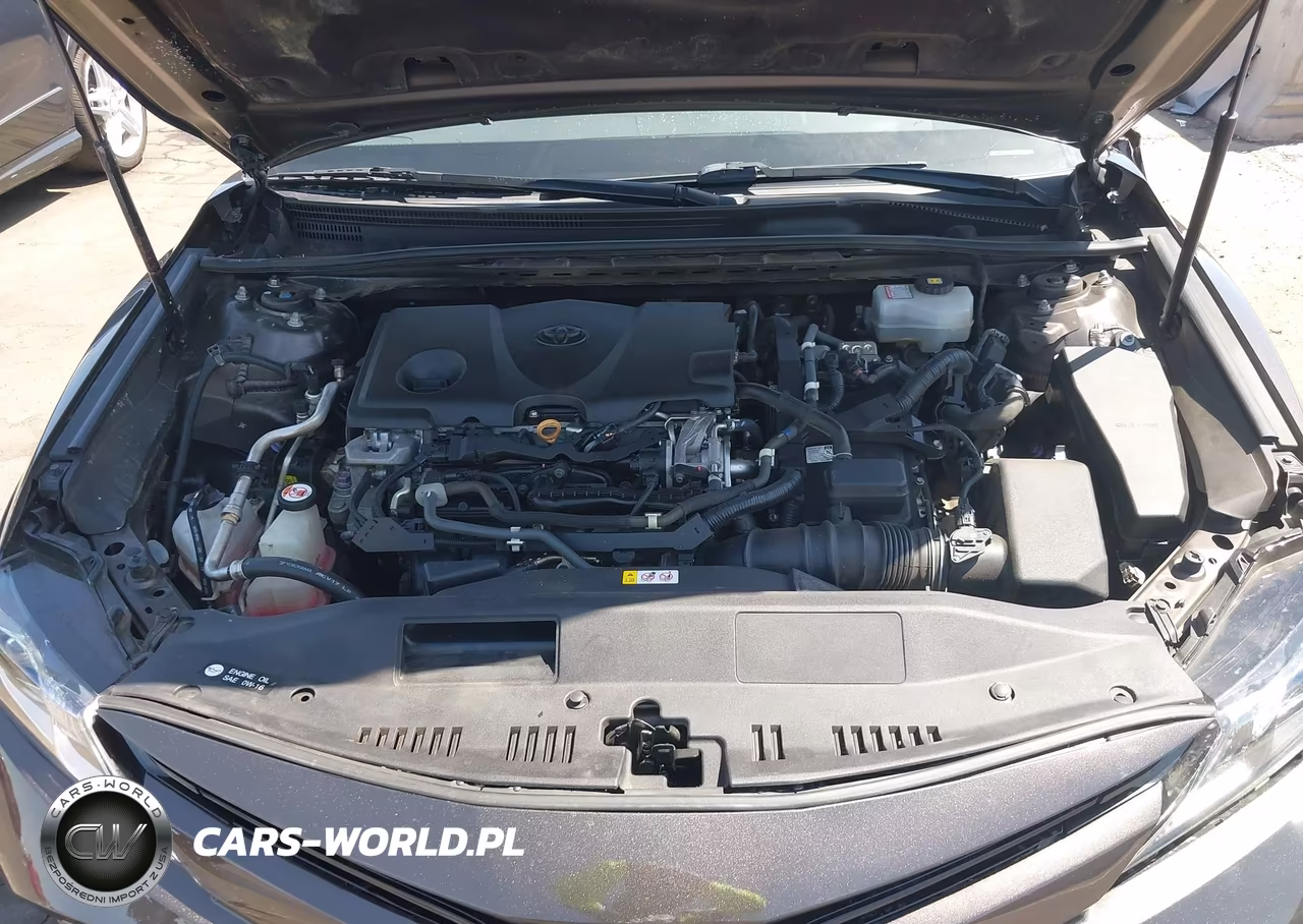 2019 Toyota Camry Hybrid Le VIN:4T1B31HK3KU005244 - 10
